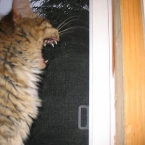 Meet your Posher, Julie